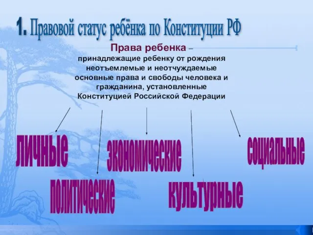 1. Правовой статус ребёнка по Конституции РФ Права ребенка – принадлежащие ребенку