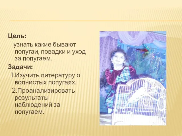 Цель: узнать какие бывают попугаи, повадки и уход за попугаем. Задачи: 1.Изучить