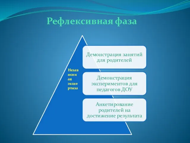 Рефлексивная фаза Независимая экспертиза