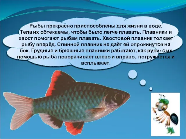 Рыбы прекрасно приспособлены для жизни в воде. Тела их обтекаемы, чтобы было