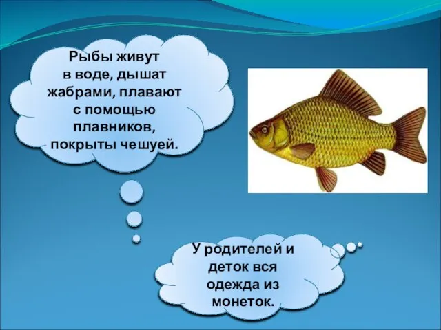 Рыбы живут в воде, дышат жабрами, плавают с помощью плавников, покрыты чешуей.