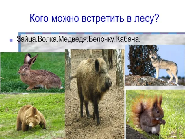 Кого можно встретить в лесу? Зайца.Волка.Медведя.Белочку.Кабана.