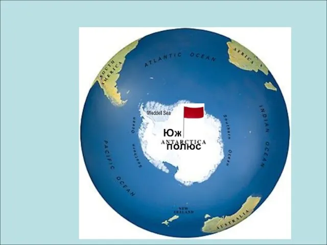 Антарктика Арктика Северный полюс Южный полюс