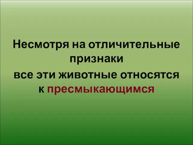 Несмотря на отличительные признаки все эти животные относятся к пресмыкающимся