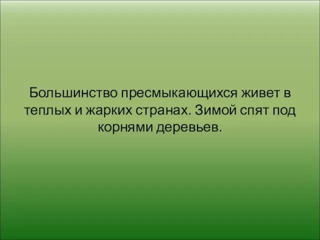 Большинство пресмыкающихся живет в теплых и жарких странах. Зимой спят под корнями деревьев.