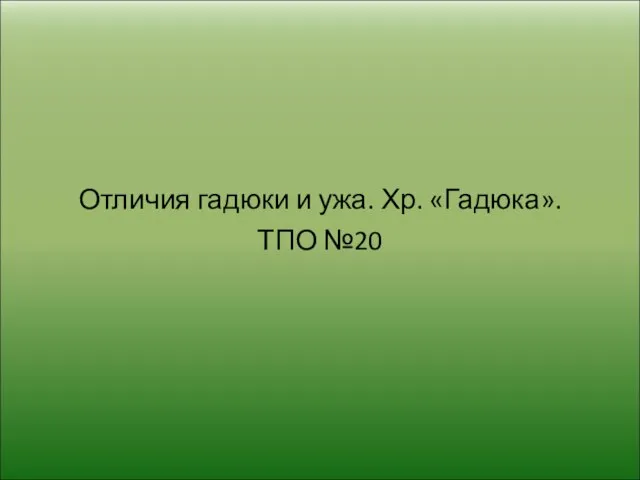 Отличия гадюки и ужа. Хр. «Гадюка». ТПО №20