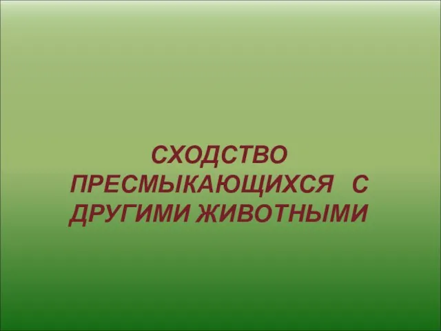 СХОДСТВО ПРЕСМЫКАЮЩИХСЯ С ДРУГИМИ ЖИВОТНЫМИ