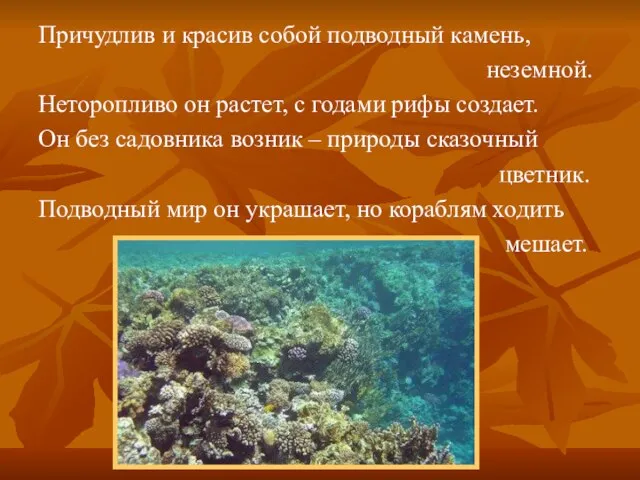 Причудлив и красив собой подводный камень, неземной. Неторопливо он растет, с годами