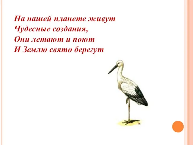 На нашей планете живут Чудесные создания, Они летают и поют И Землю свято берегут