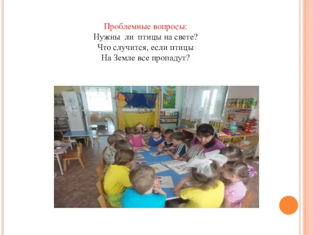 Проблемные вопросы: Нужны ли птицы на свете? Что случится, если птицы На Земле все пропадут?