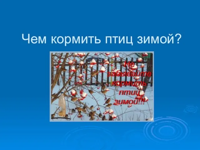 Презентация на тему Чем кормить птиц зимой?