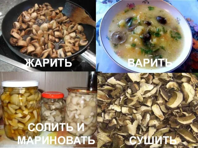 ЖАРИТЬ ВАРИТЬ СОЛИТЬ И МАРИНОВАТЬ СУШИТЬ