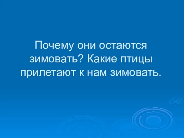 Почему они остаются зимовать? Какие птицы прилетают к нам зимовать.