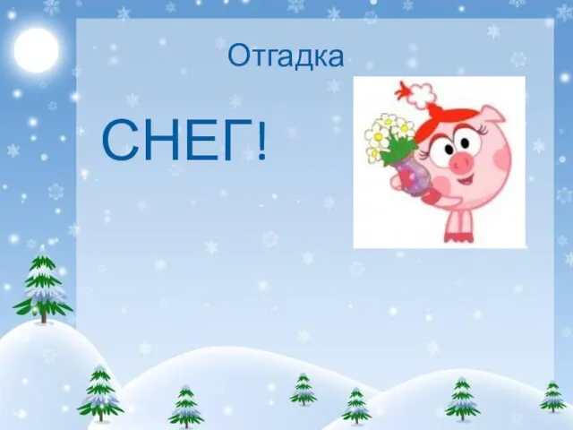 Отгадка СНЕГ!