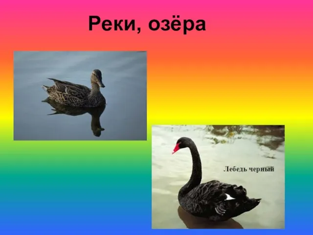 Реки, озёра