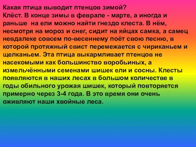 Какая птица выводит птенцов зимой? Клёст. В конце зимы в феврале -