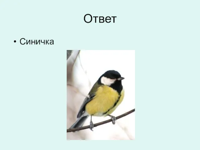 Ответ Синичка