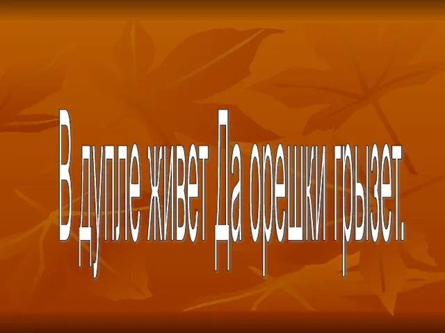 В дупле живет Да орешки грызет.