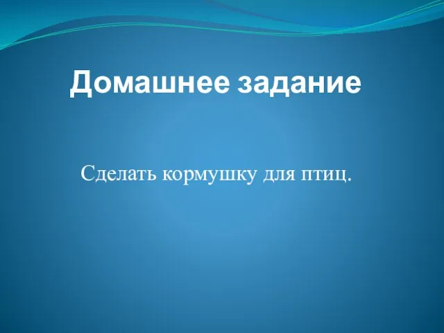 Домашнее задание Сделать кормушку для птиц.