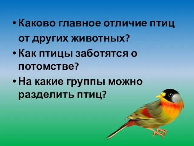 Каково главное отличие птиц от других животных? Как птицы заботятся о потомстве?