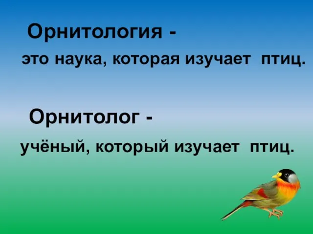 это наука, которая изучает птиц. Орнитология - Орнитолог - учёный, который изучает птиц.