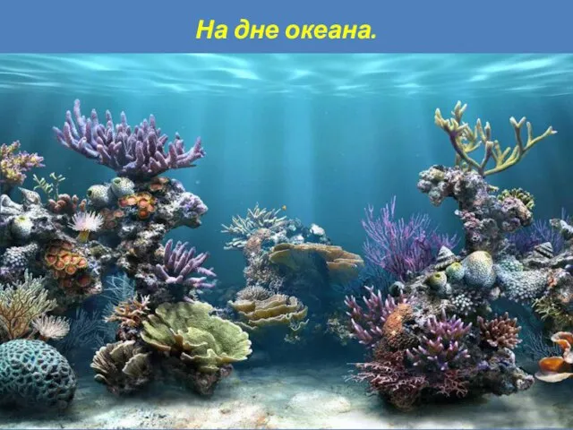 На дне океана.