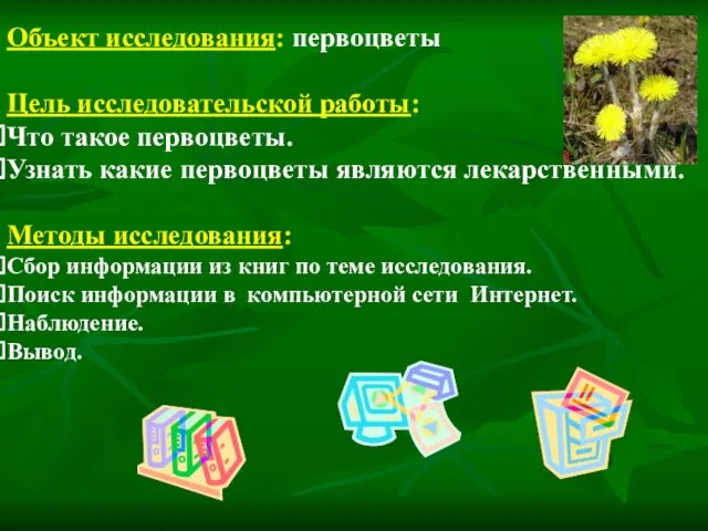 Объект исследования: первоцветы Цель исследовательской работы: Что такое первоцветы. Узнать какие первоцветы