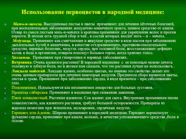 Использование первоцветов в народной медицине: Мать-и-мачеха. Высушенные листья и цветы применяют для