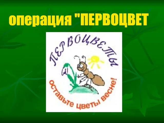 операция "ПЕРВОЦВЕТ