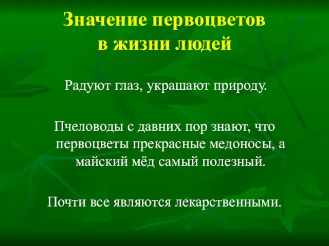 Значение первоцветов в жизни людей Радуют глаз, украшают природу. Пчеловоды с давних