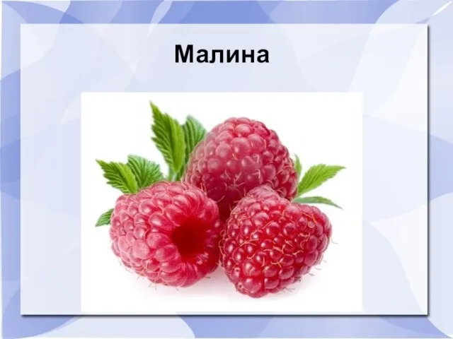 Малина