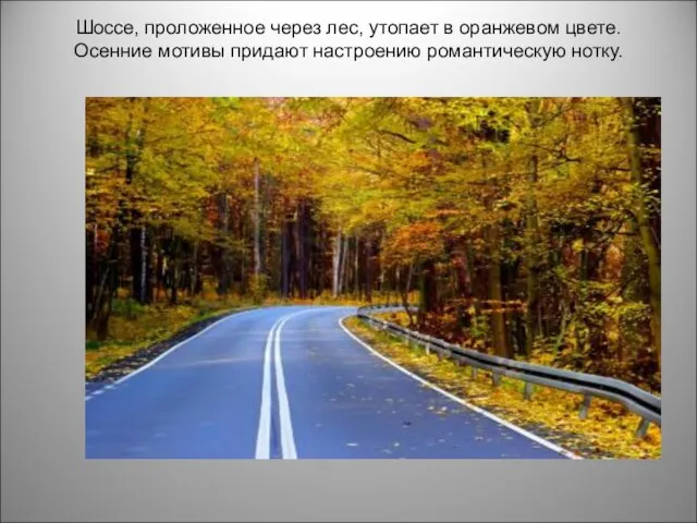 Шоссе, проложенное через лес, утопает в оранжевом цвете. Осенние мотивы придают настроению романтическую нотку.