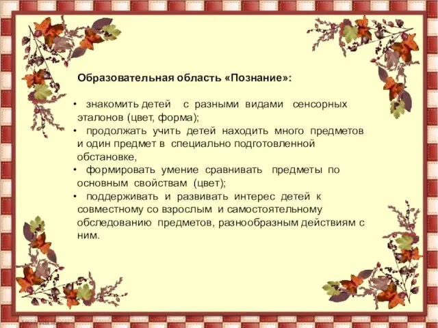 Образовательная область «Познание»: знакомить детей с разными видами сенсорных эталонов (цвет, форма);