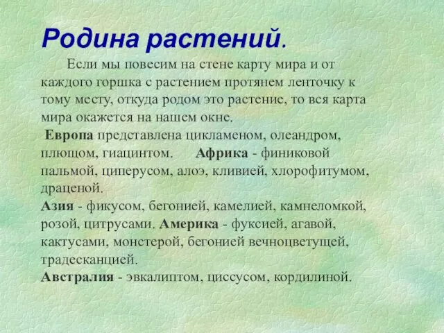 Родина растений. Если мы повесим на стене карту мира и от каждого