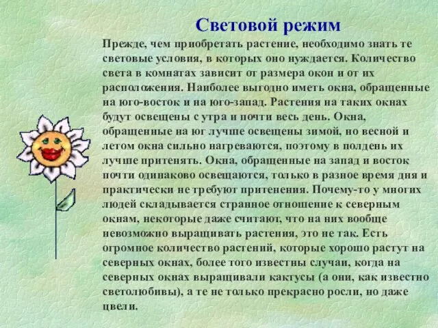 Световой режим Прежде, чем приобретать растение, необходимо знать те световые условия, в