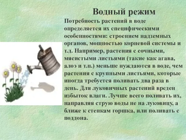 Водный режим Потребность растений в воде определяется их специфическими особенностями: строением надземных