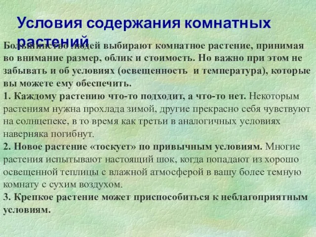 Условия содержания комнатных растений Большинство людей выбирают комнатное растение, принимая во внимание