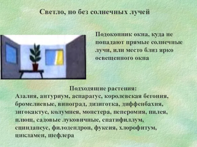 Светло, но без солнечных лучей Подоконник окна, куда не попадают прямые солнечные