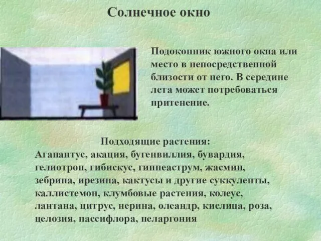 Солнечное окно Подоконник южного окна или место в непосредственной близости от него.