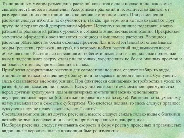 Традиционным местом размещения растений являются окна и подоконники как самые светлые места