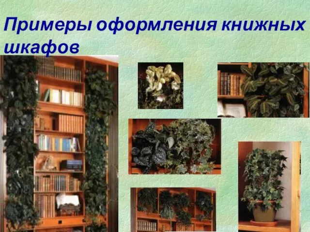 Примеры оформления книжных шкафов