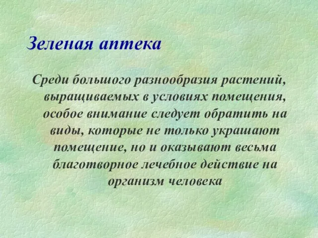 Зеленая аптека Среди большого разнообразия растений, выращиваемых в условиях помещения, особое внимание