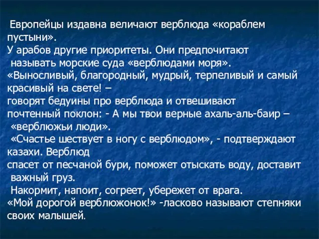 Европейцы издавна величают верблюда «кораблем пустыни». У арабов другие приоритеты. Они предпочитают