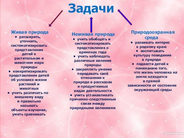 Тема. «Формирование познавательной активности через экологическое воспитание». Задачи Живая природа расширить, уточнить,