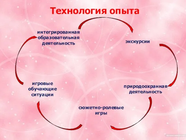 Тема. «Формирование познавательной активности через экологическое воспитание». Технология опыта интегрированная образовательная деятельность