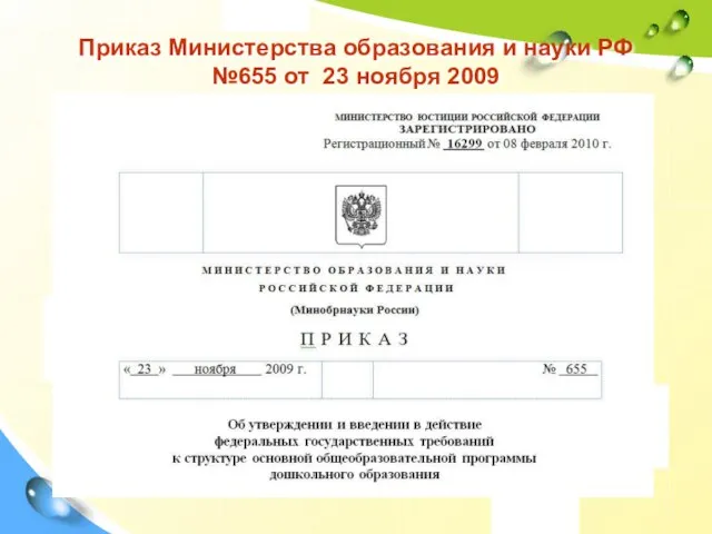 Приказ Министерства образования и науки РФ №655 от 23 ноября 2009