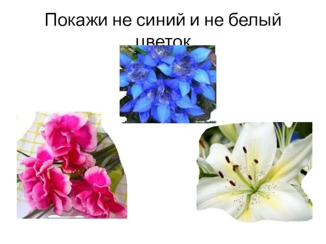 Покажи не синий и не белый цветок