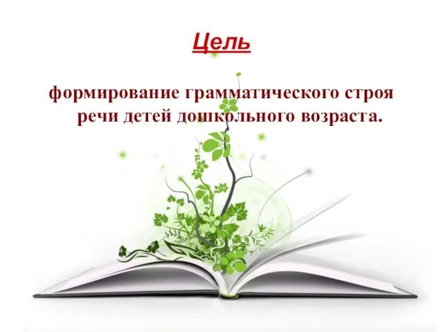 Цель формирование грамматического строя речи детей дошкольного возраста.