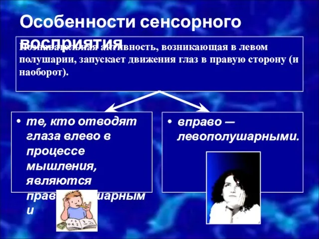 Познавательная активность, возникающая в левом полушарии, запускает движения глаз в правую сторону