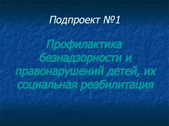 Подпроект №1 Профилактика безнадзорности и правонарушений детей, их социальная реабилитация